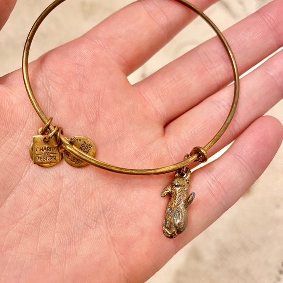 Bundle of 8 alex & ani bracelets - Picture 7 of 16